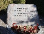 Sine Busk.JPG